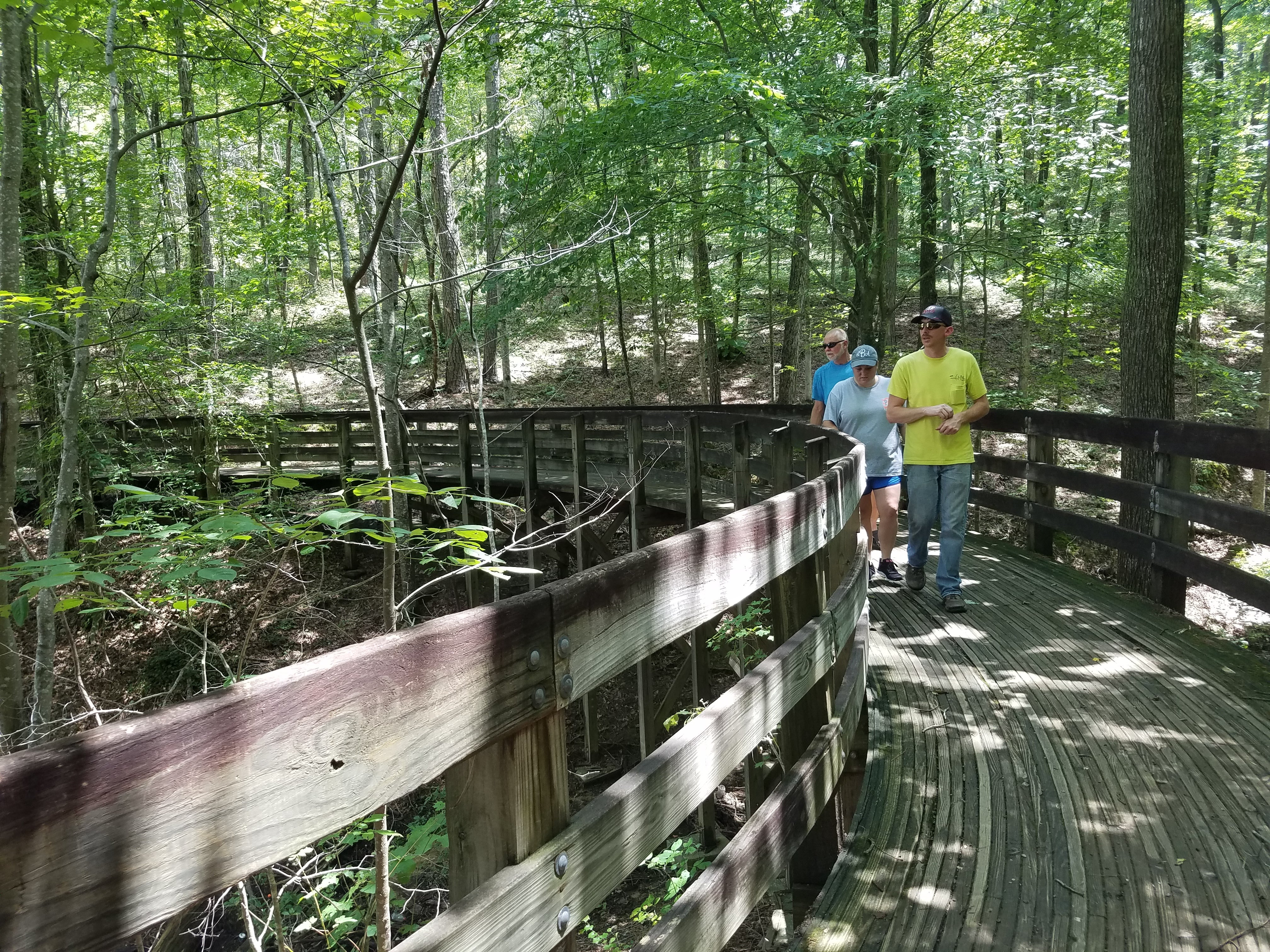 Wooden bridge on trail.