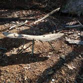 Review photo of Joe Wheeler State Park Campground by Leesha J., August 27, 2017
