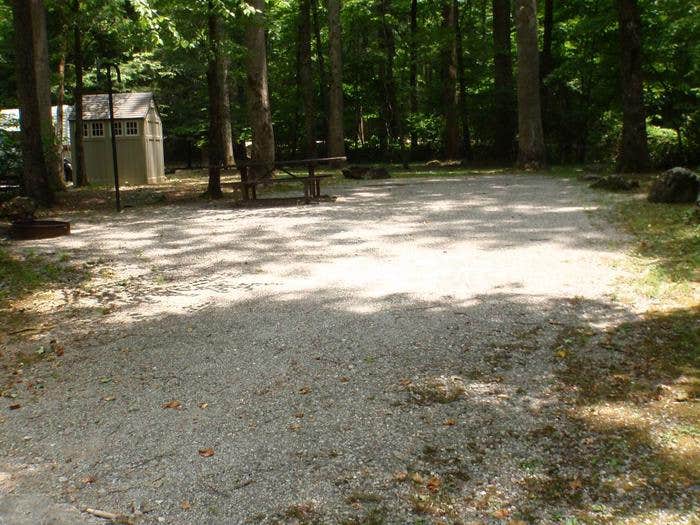 Camper submitted image from Desoto Falls Recreation Area - 5