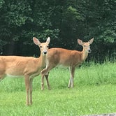 Review photo of North Bend State Park Campground by Dave V., August 27, 2017