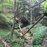 Review photo of River Run Campground — North Bend State Park by Dave V., August 27, 2017