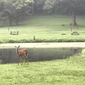 Review photo of River Run Campground — North Bend State Park by Dave V., August 27, 2017