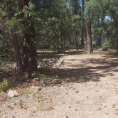 Review photo of Timber Camp Recreation Area and Group Campgrounds by Krista Z., August 27, 2017
