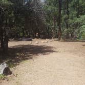 Review photo of Timber Camp Recreation Area and Group Campgrounds by Krista Z., August 27, 2017