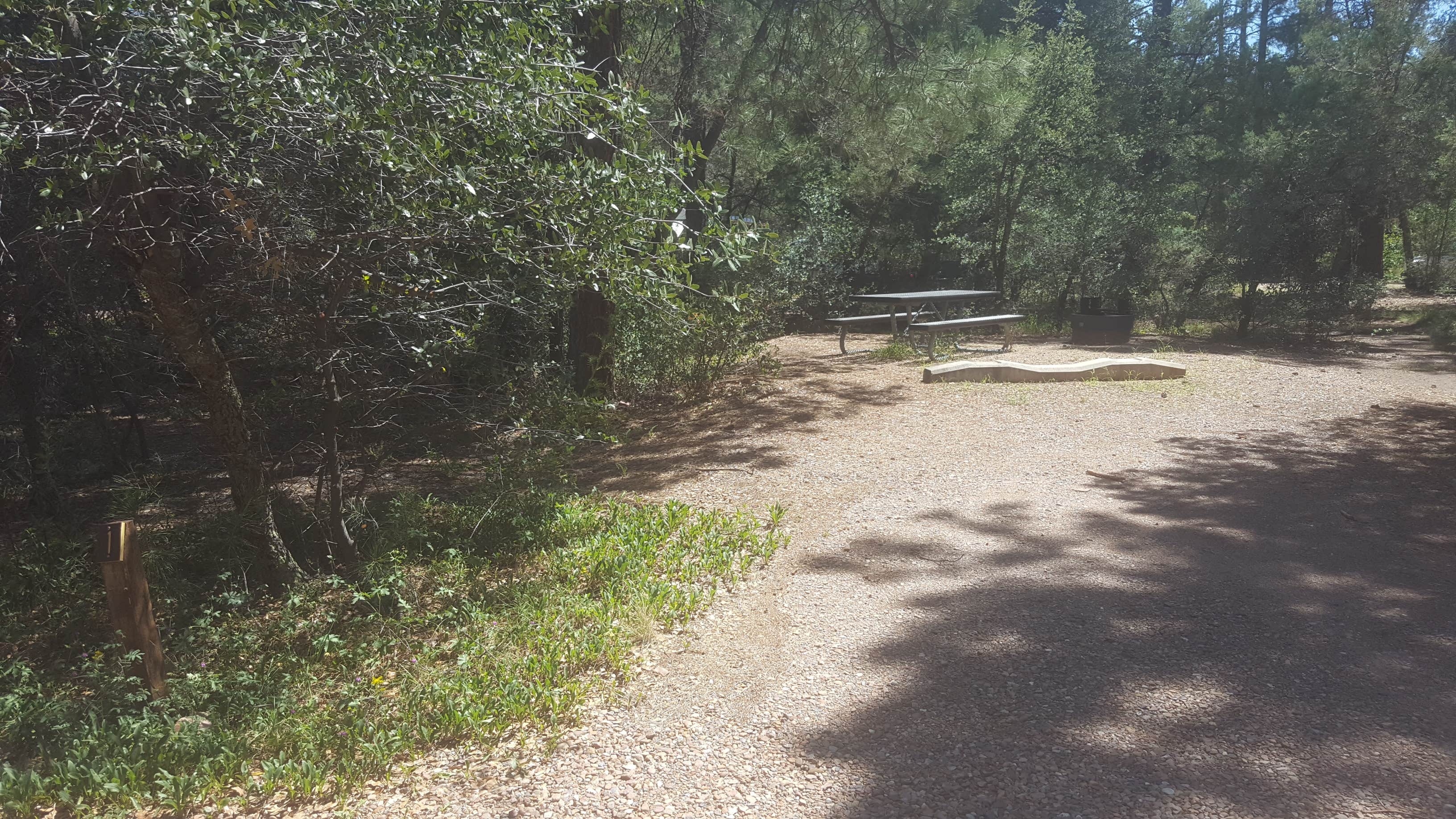 Camper submitted image from Timber Camp Recreation Area and Group Campgrounds - 2