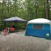 Review photo of Greenbrier State Park Campground - TEMPORARILY CLOSED by Jennifer S., August 27, 2017