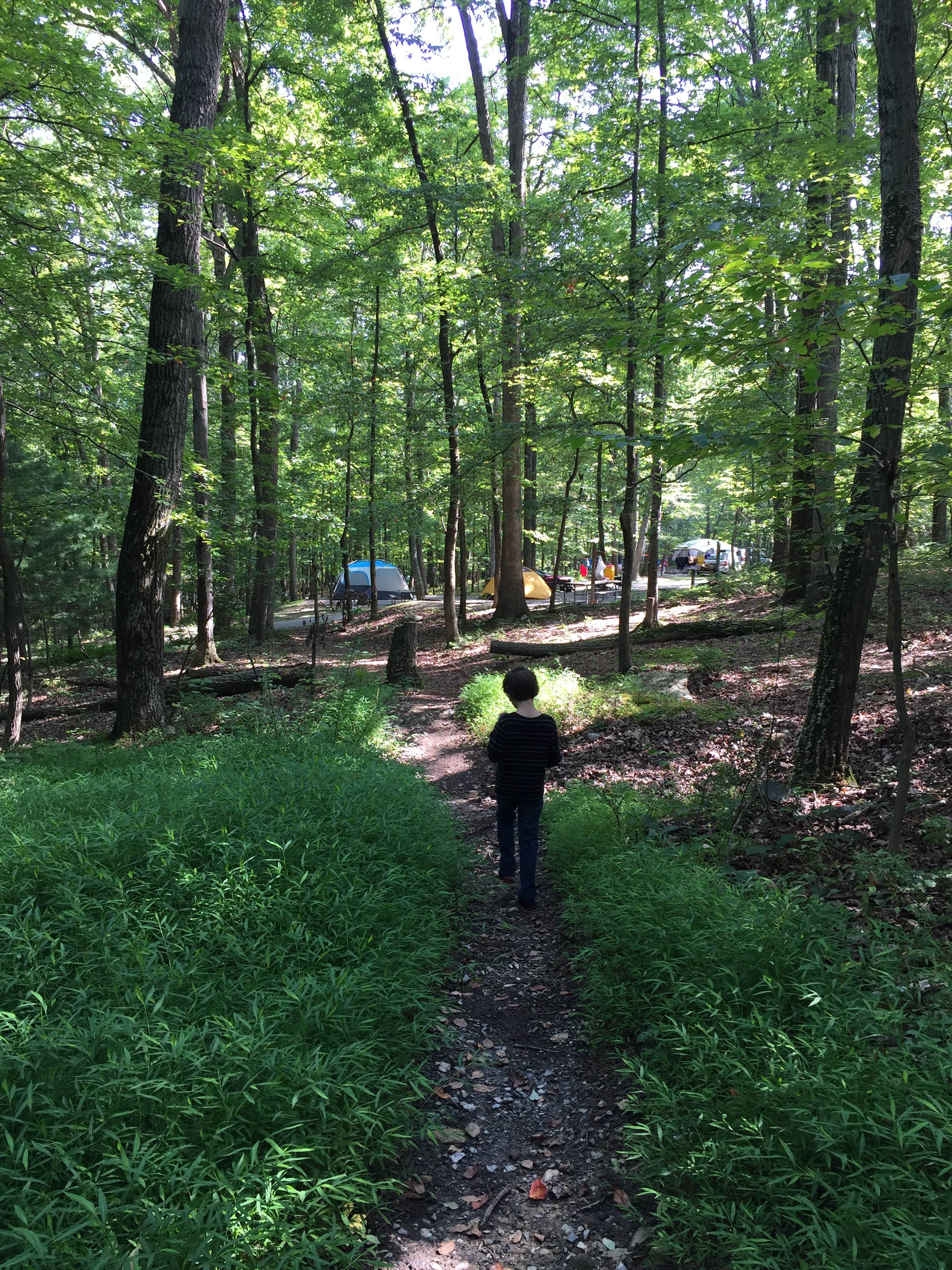 Camper submitted image from Greenbrier State Park Campground - TEMPORARILY CLOSED - 2