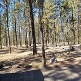 Review photo of Lake Spokane Campground—Riverside State Park by Kris S., August 17, 2017