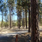 Review photo of Lake Spokane Campground—Riverside State Park by Kris S., August 17, 2017
