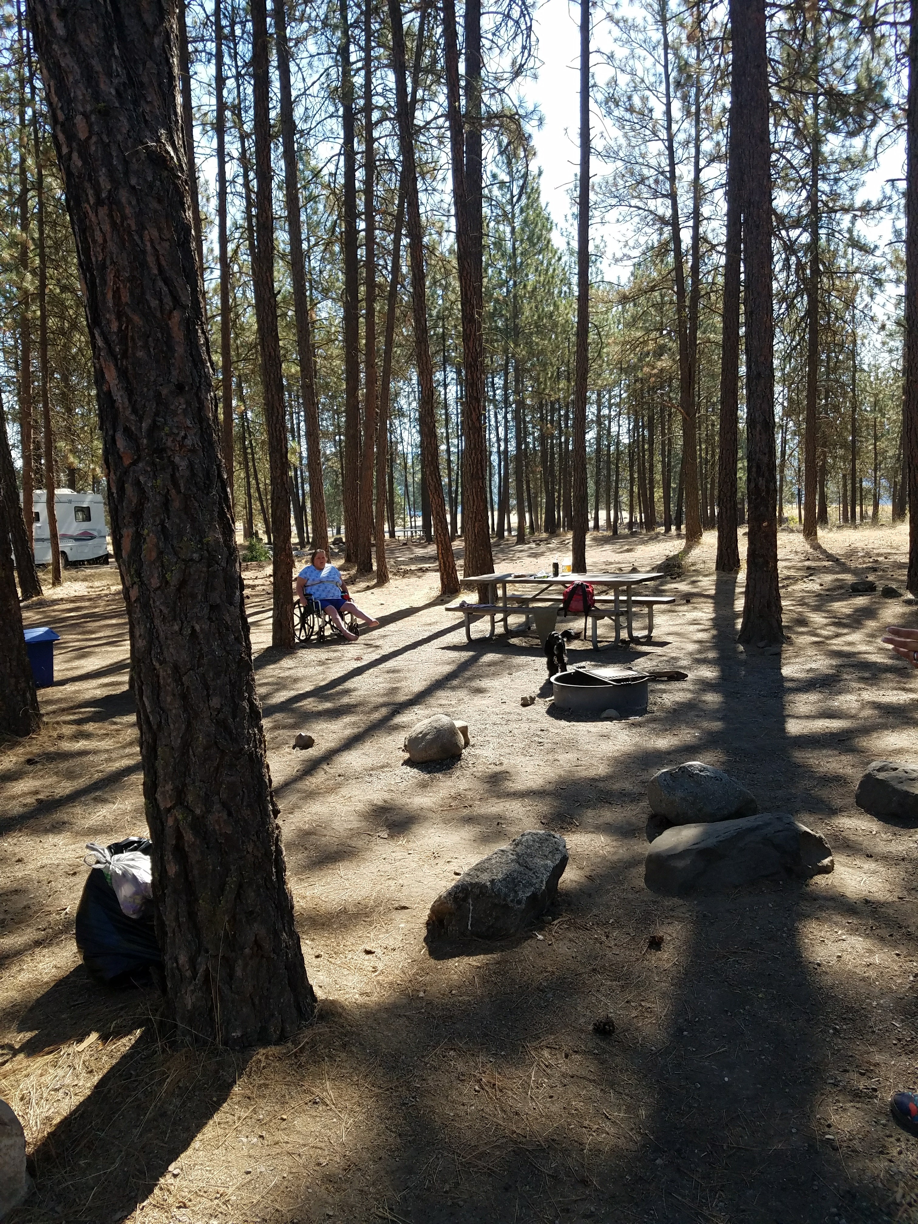 Camper submitted image from Lake Spokane Campground—Riverside State Park - 3