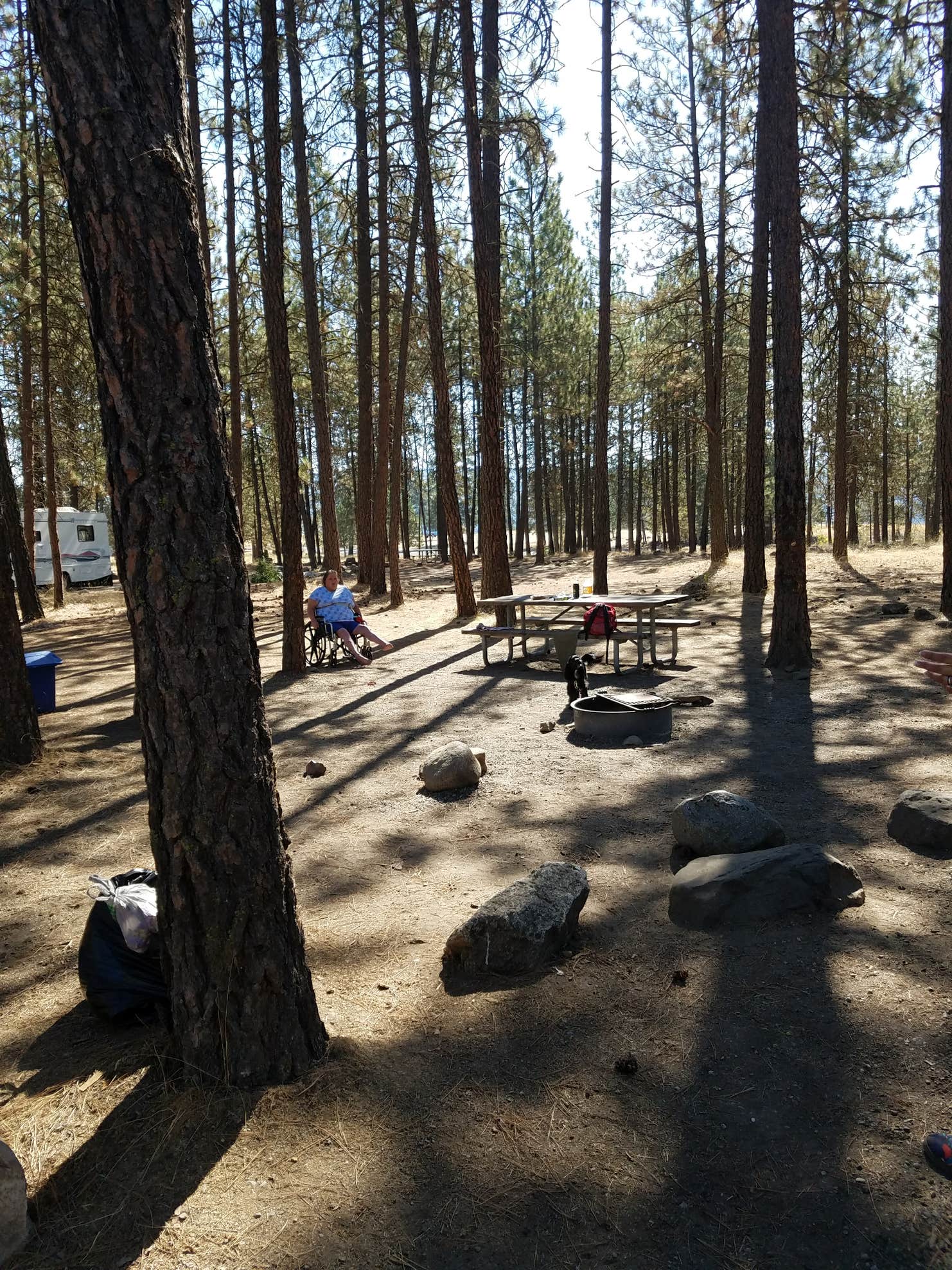 Lake Spokane Campground—Riverside State Park Camping The Dyrt