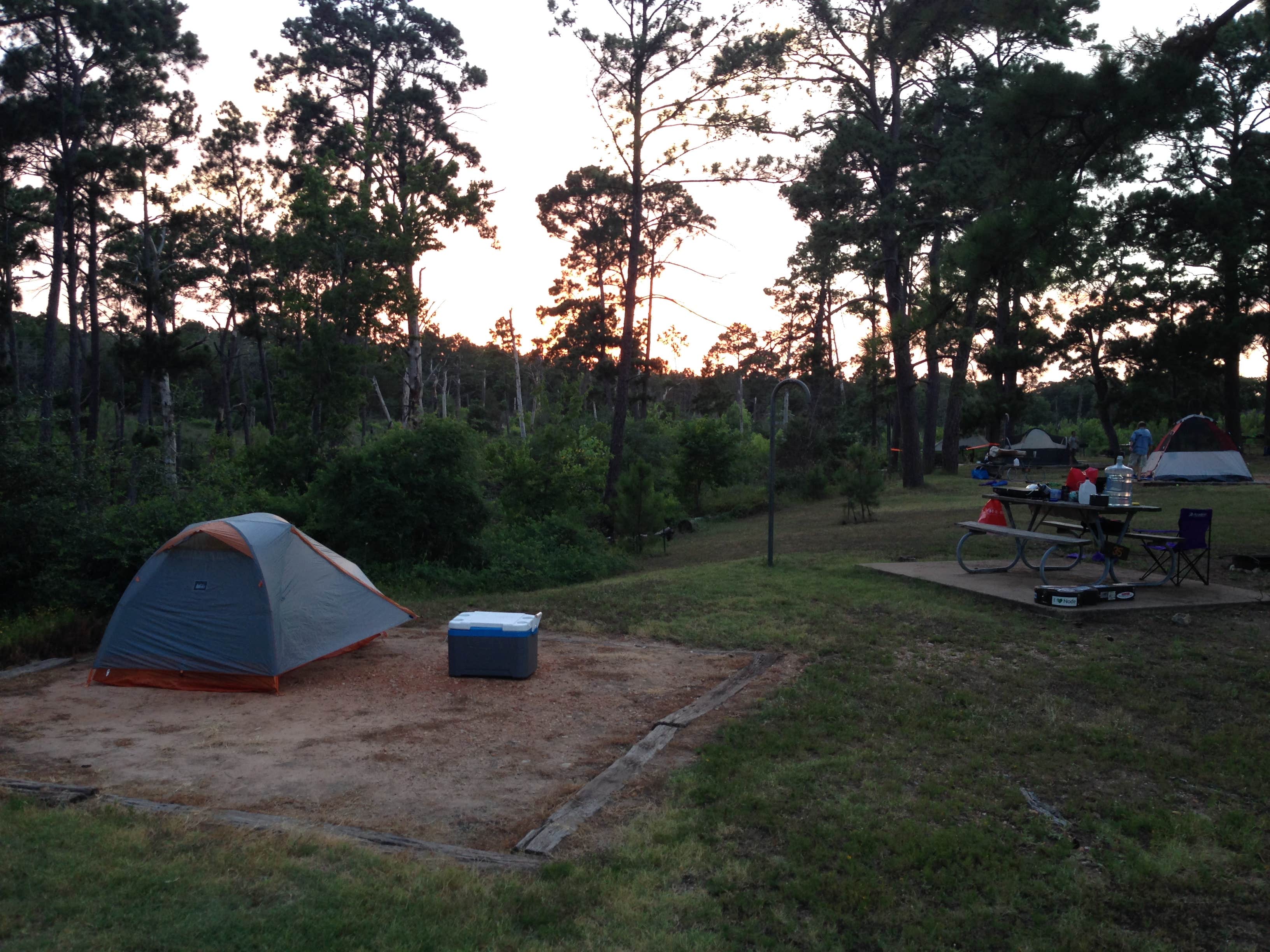 Camper submitted image from Bastrop State Park Campground - 5