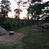 Review photo of Bastrop State Park Campground by Dmitri W., June 29, 2016