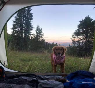 Camper-submitted photo from Halfmoon Campground