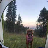 Review photo of Halfmoon Campground by Karl G., August 28, 2017