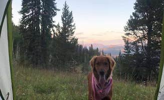 Karl G.'s photo of camping with pets at Halfmoon Campground near White River National Forest