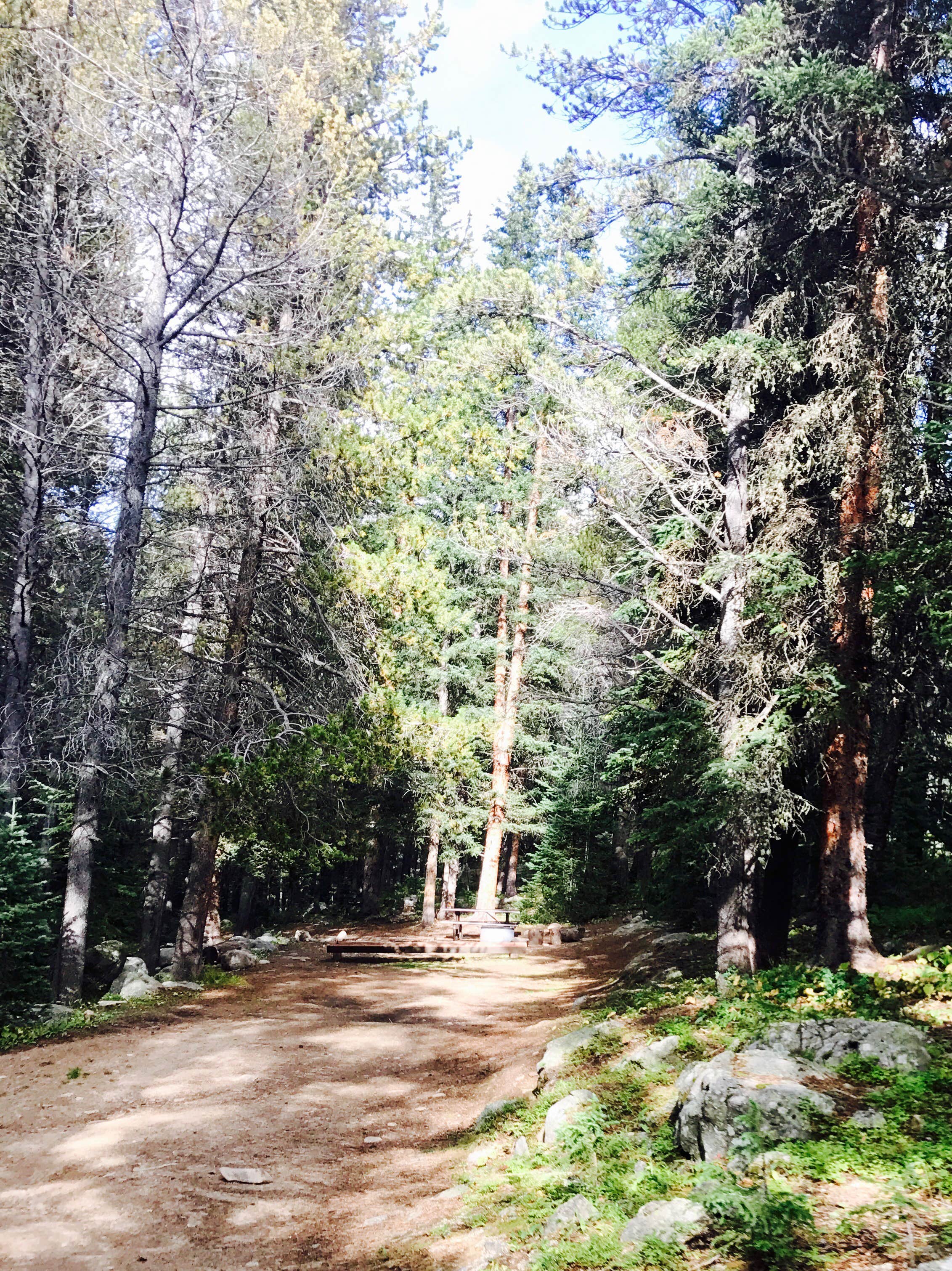 Halfmoon Campground Red Cliff, CO