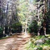 Review photo of Halfmoon Campground by Karl G., August 28, 2017