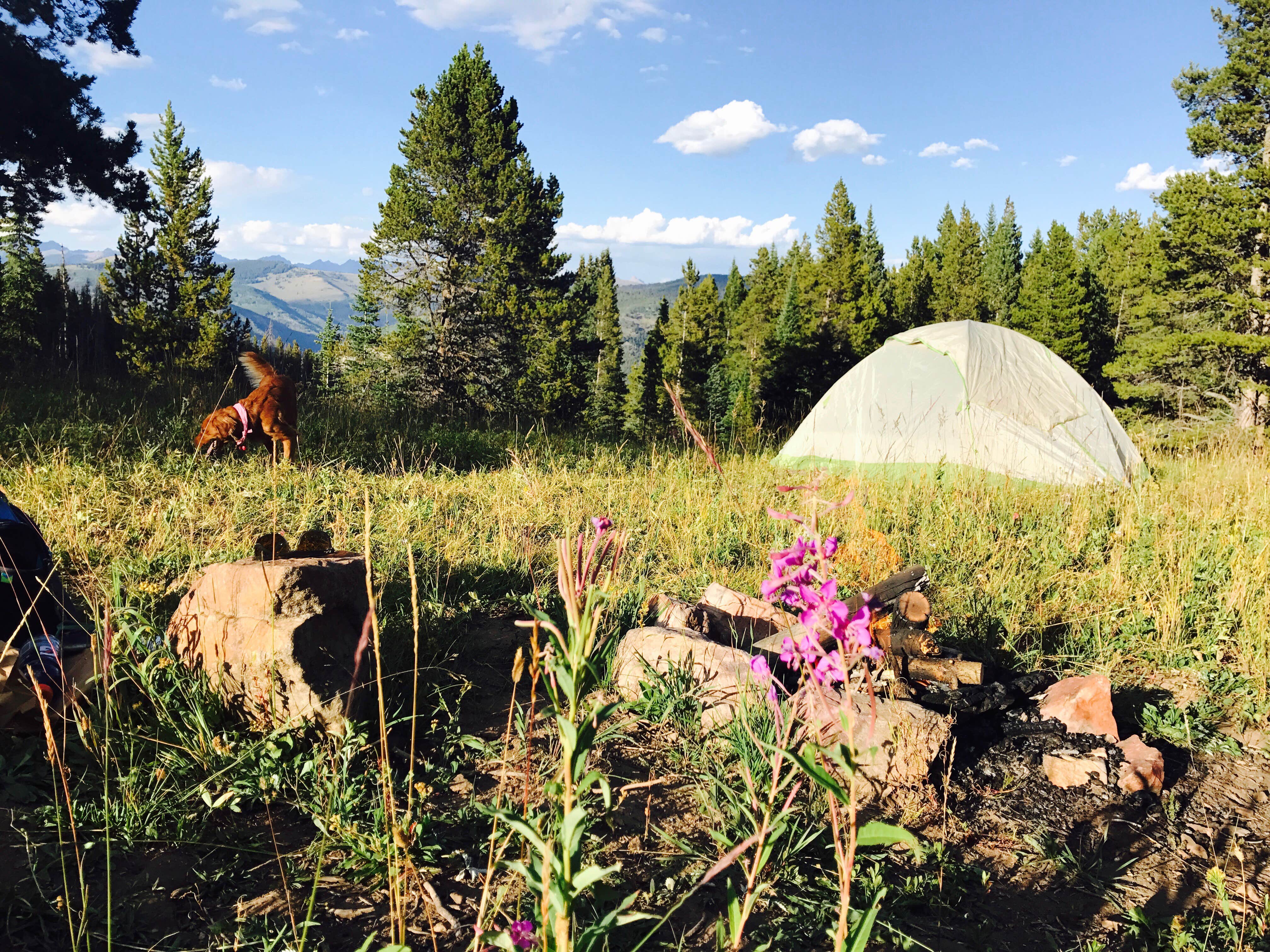 Camper submitted image from Halfmoon Campground - 3