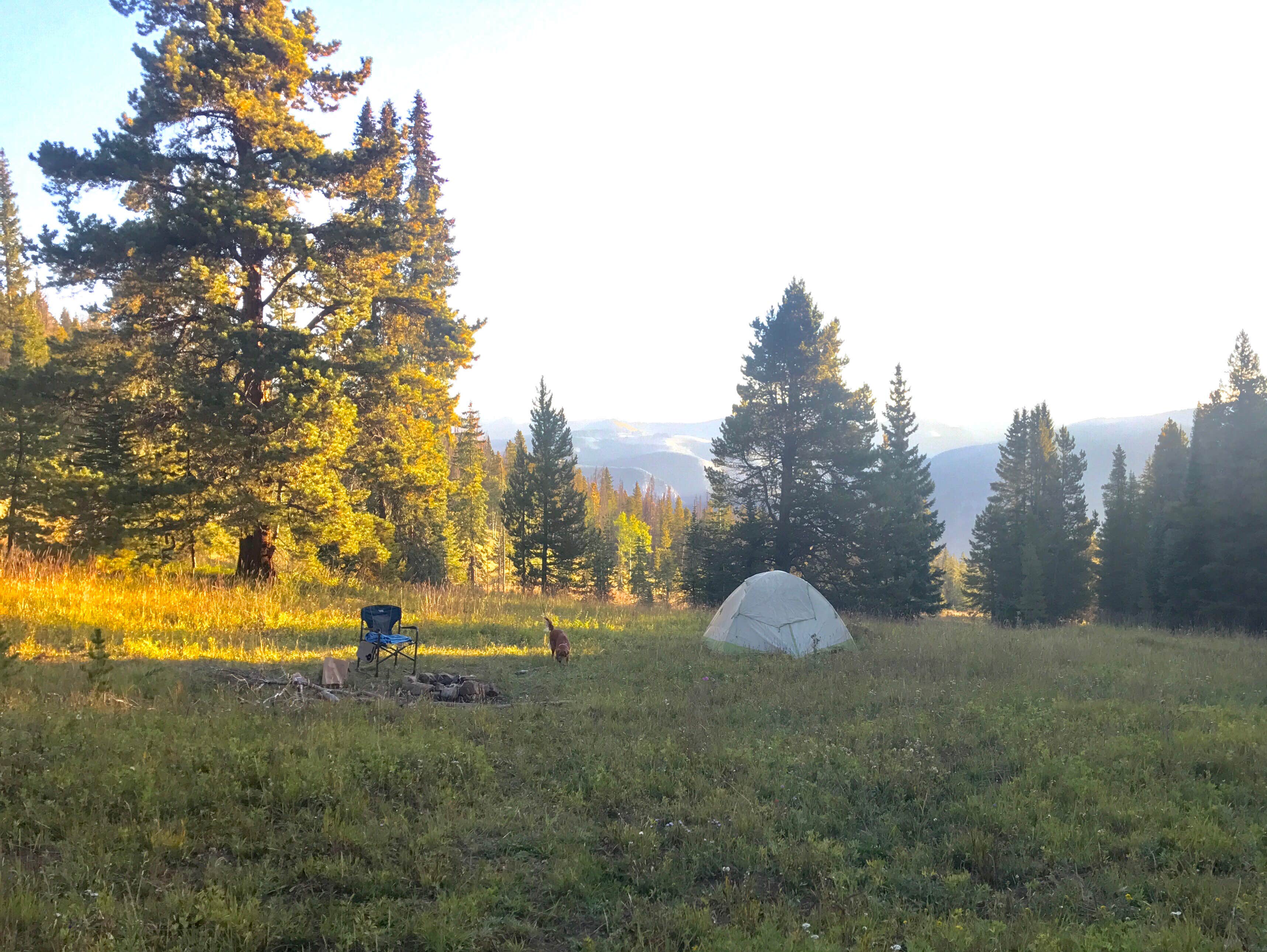 Camper-submitted photo at Halfmoon Campground near Minturn, CO
