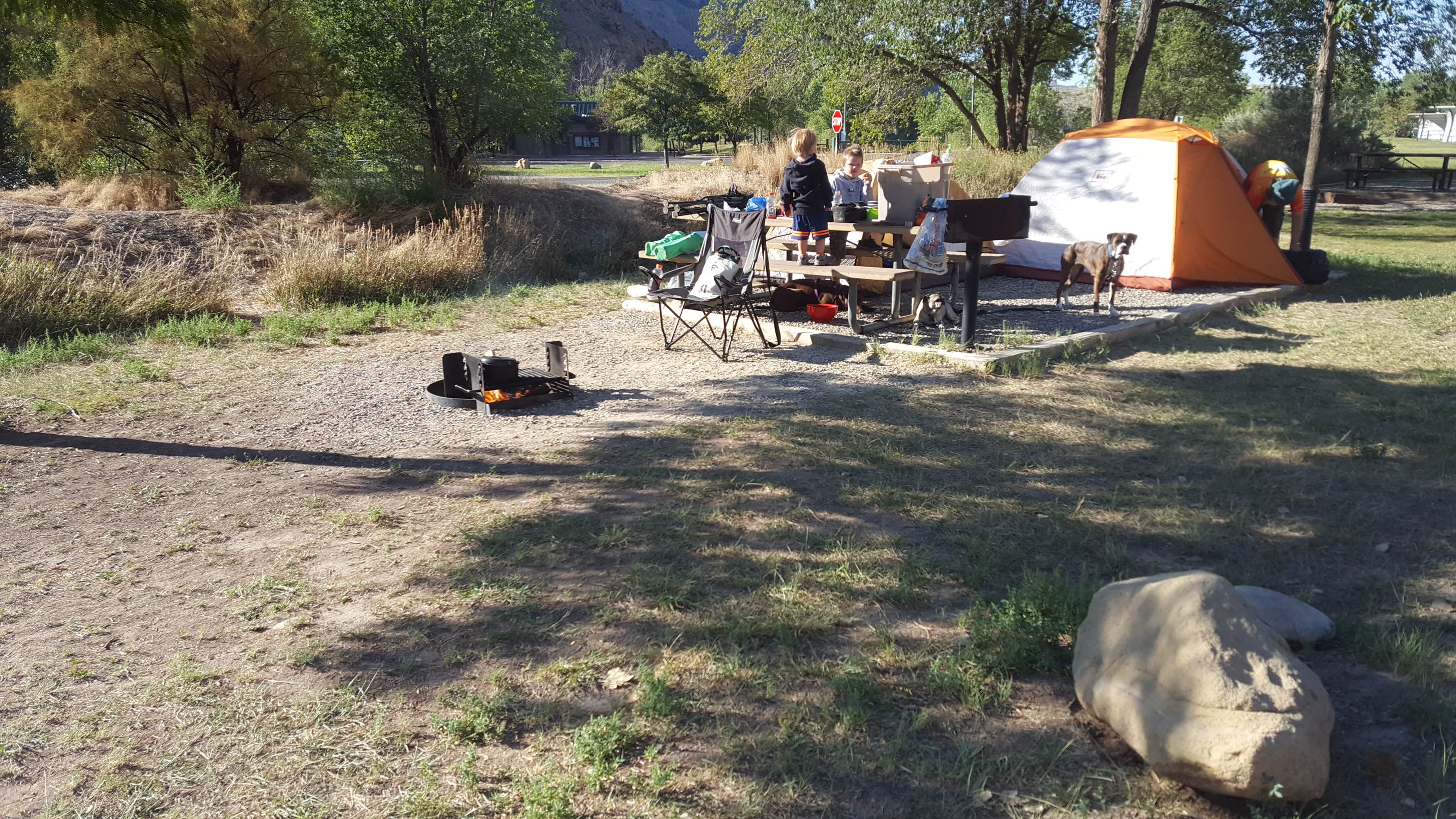 Melissa K.'s photo at Island Acres Section Camping — James M. Robb Colorado River State Park near Palisade, CO