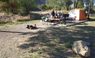 Melissa K.'s photo at Island Acres Section Camping — James M. Robb Colorado River State Park near Clifton, CO