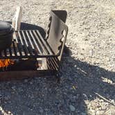 Review photo of Island Acres Section Camping — James M. Robb Colorado River State Park by Melissa K., August 28, 2017