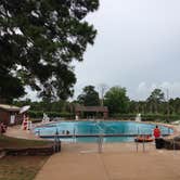 Review photo of Bastrop State Park Campground by Dmitri W., June 29, 2016