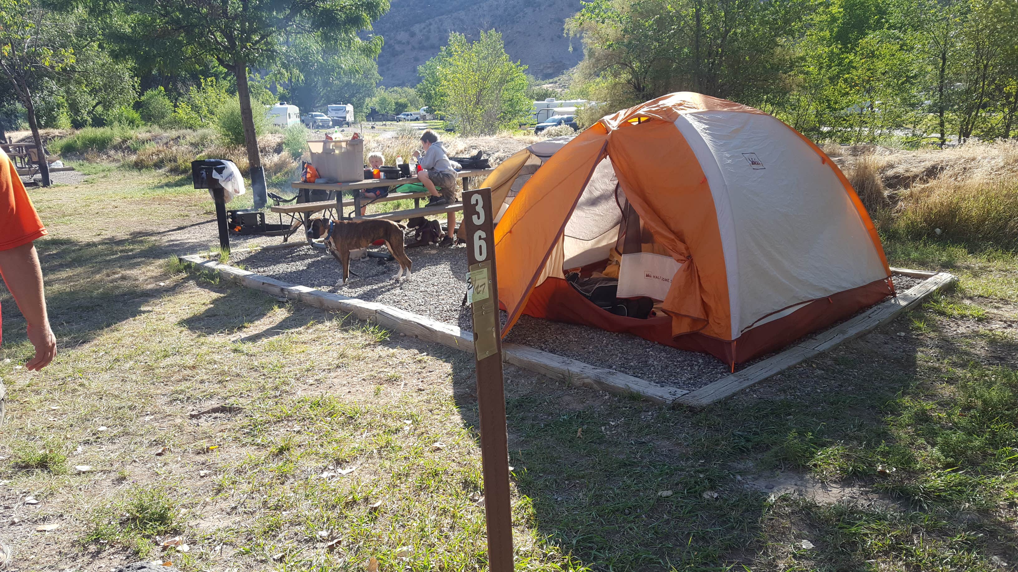 Melissa K.'s photo at Island Acres Section Camping — James M. Robb Colorado River State Park near Whitewater, CO