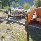 Review photo of Island Acres Section Camping — James M. Robb Colorado River State Park by Melissa K., August 28, 2017
