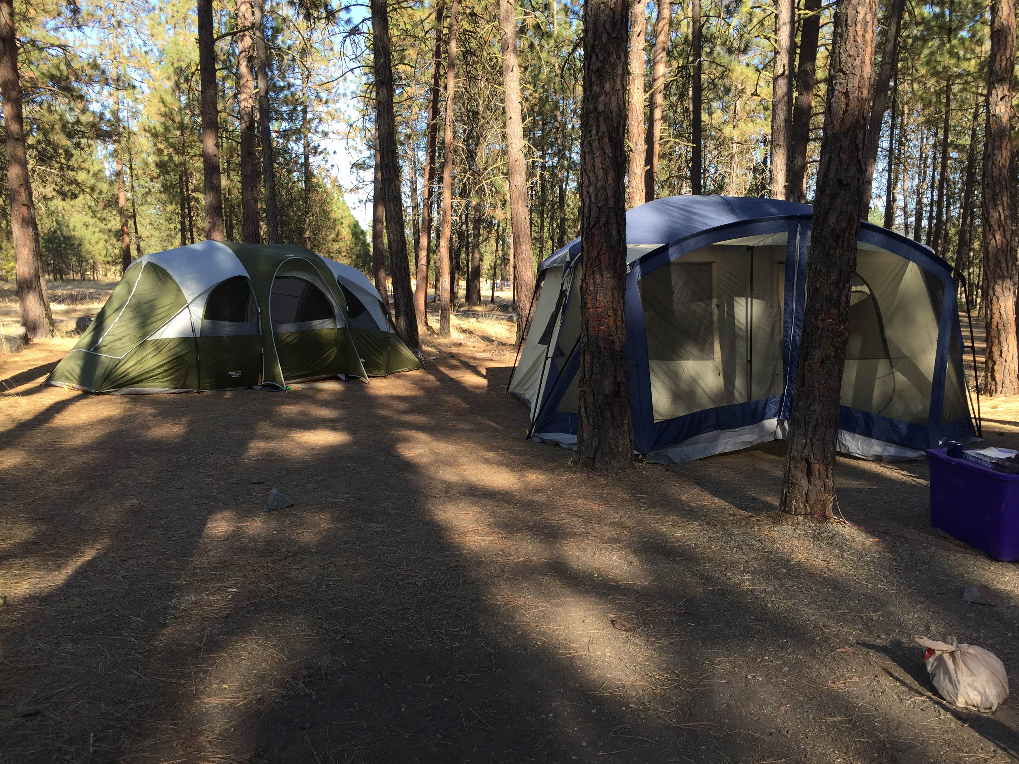 Camper submitted image from Lake Spokane Campground—Riverside State Park - 5