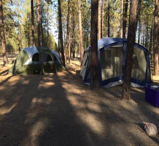 Camper-submitted photo from Lake Spokane Campground—Riverside State Park