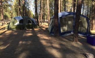 Amanda B.'s photo at Lake Spokane Campground—Riverside State Park near Ford, WA