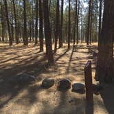 Review photo of Lake Spokane Campground—Riverside State Park by Amanda B., August 28, 2017