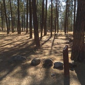 Review photo of Lake Spokane Campground—Riverside State Park by Amanda B., August 28, 2017