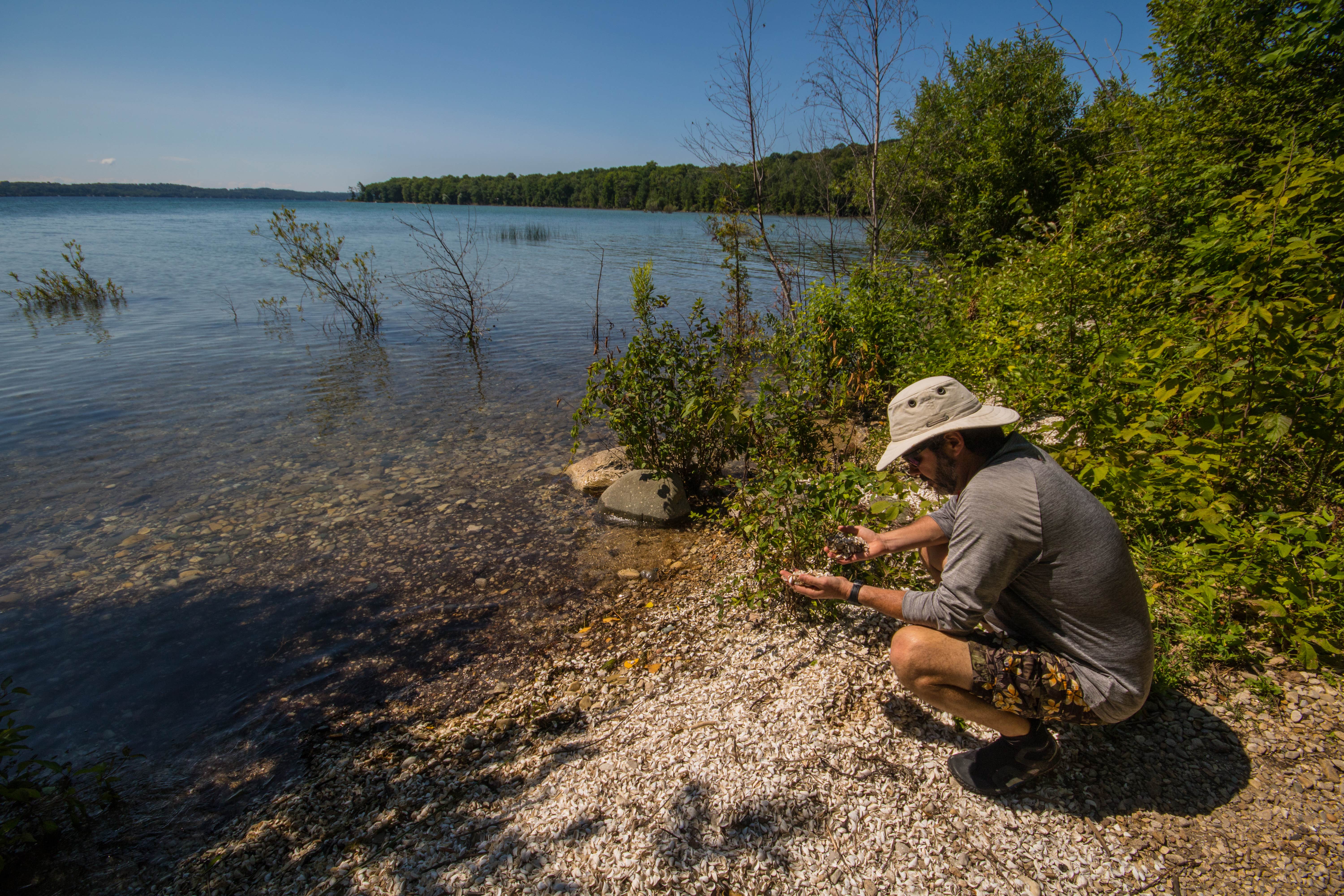 Camper submitted image from Power Island County Park Primitive Campsites - 3