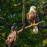 Review photo of Power Island County Park Primitive Campsites by Shari  G., August 25, 2017