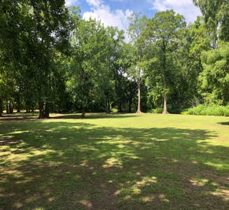 Camper-submitted photo from Acadiana Park Campground