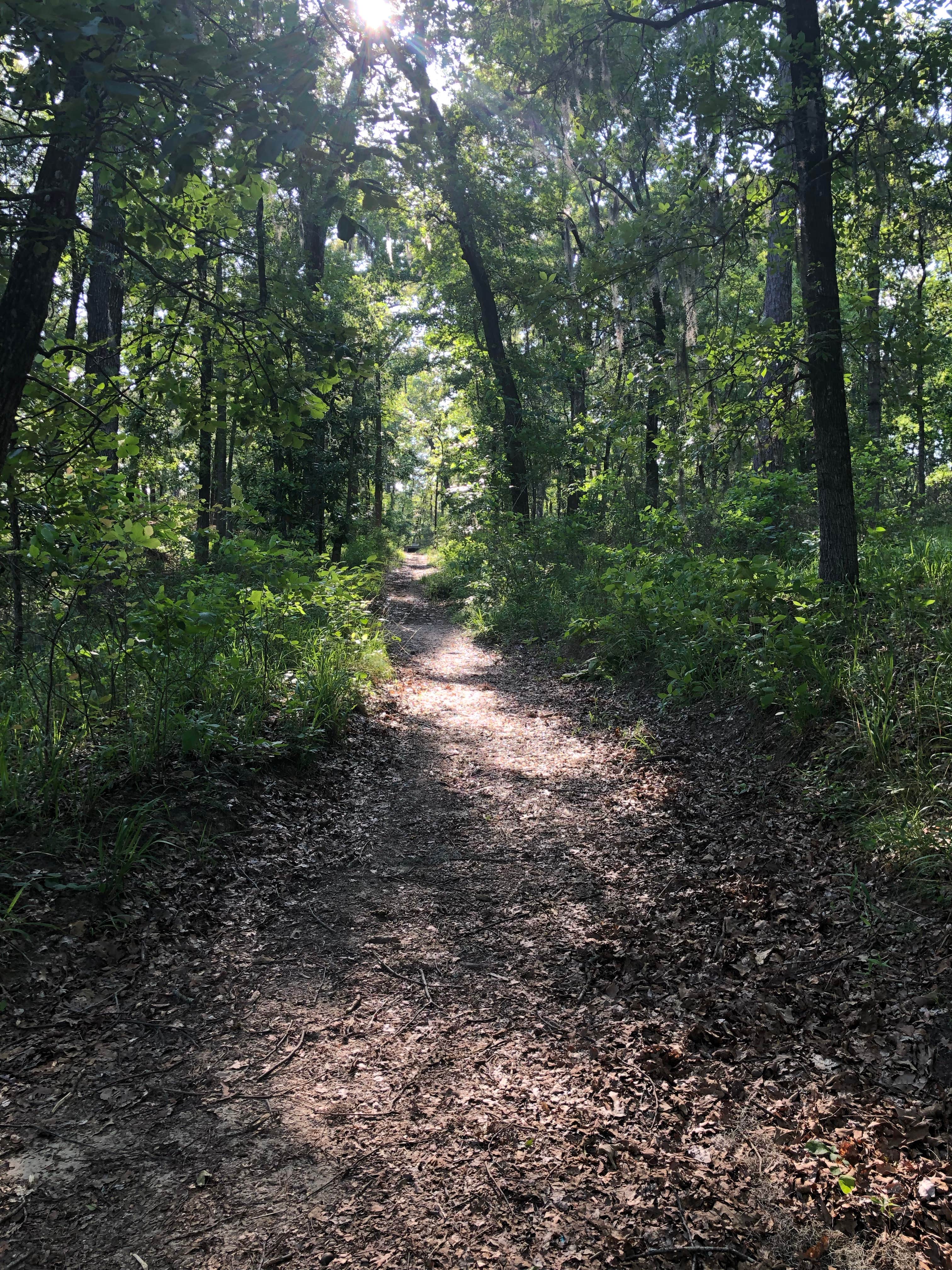 Camper-submitted photo at Kincaid Lake Campground - Temporarily Closed near Pineville, LA