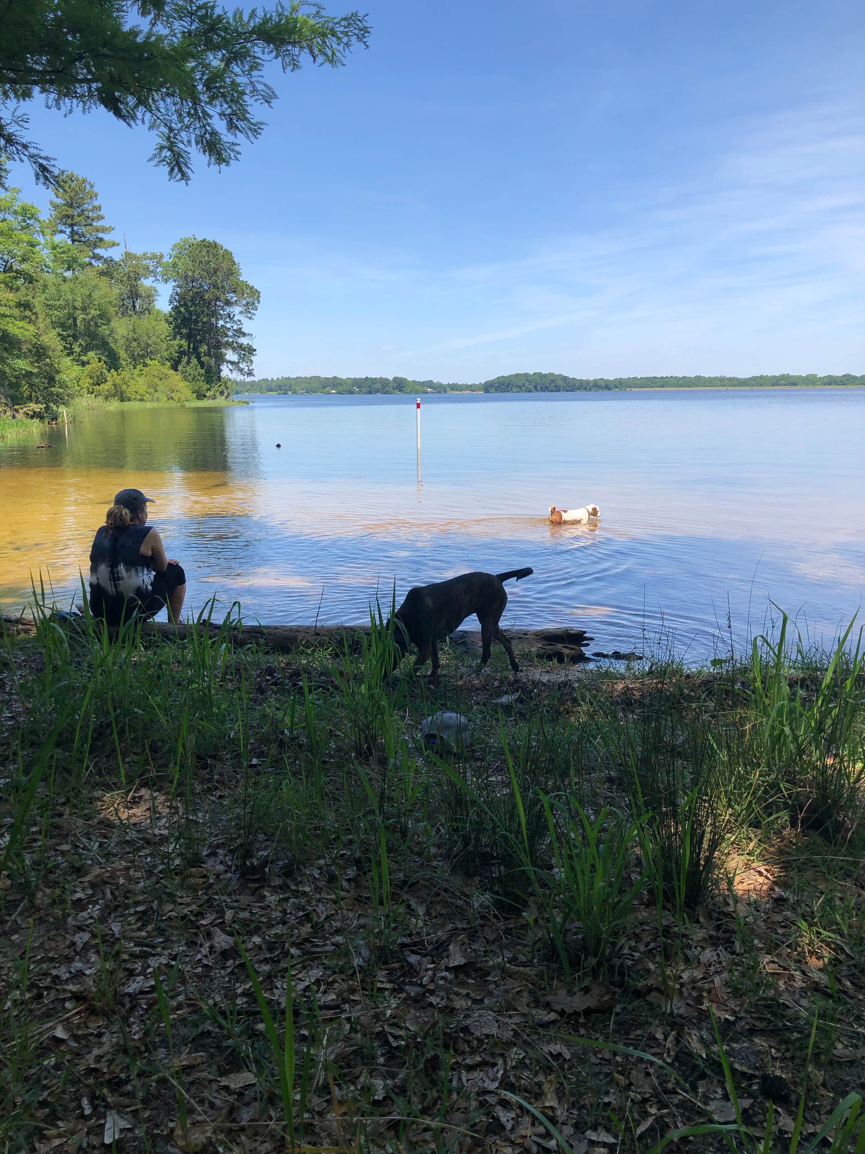 Camper-submitted photo at Kincaid Lake Campground - Temporarily Closed near Pineville, LA
