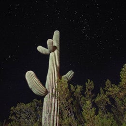 Public Campgrounds: Twin Peaks Campground — Organ Pipe Cactus National Monument