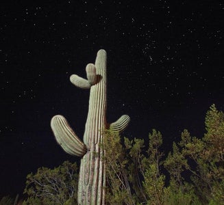 Camper-submitted photo from Twin Peaks Campground — Organ Pipe Cactus National Monument