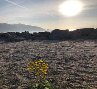 Camper-submitted photo from Castaic Lake State Recreation Area