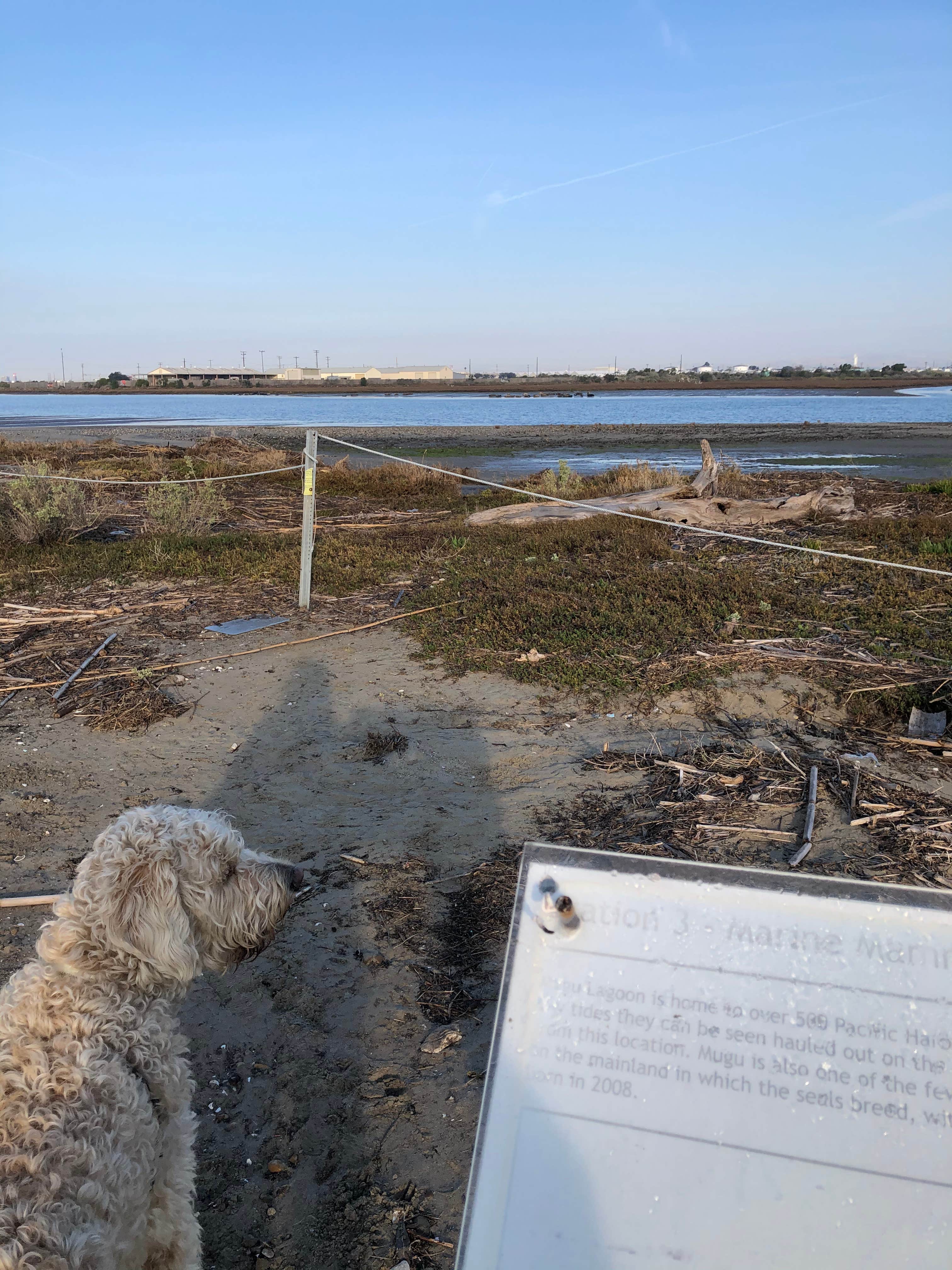 Ronna S.'s photo of camping with pets at Point Mugu Recreation Facility near Calabasas, CA
