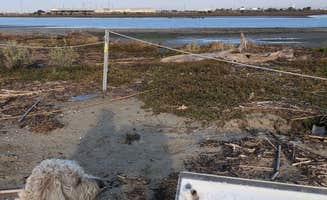 Ronna S.'s photo of camping with pets at Point Mugu Recreation Facility near Oxnard, CA