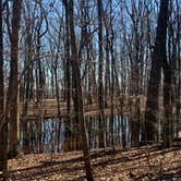 Review photo of Monte Sano State Park Campground by Ray & Terri F., January 16, 2020