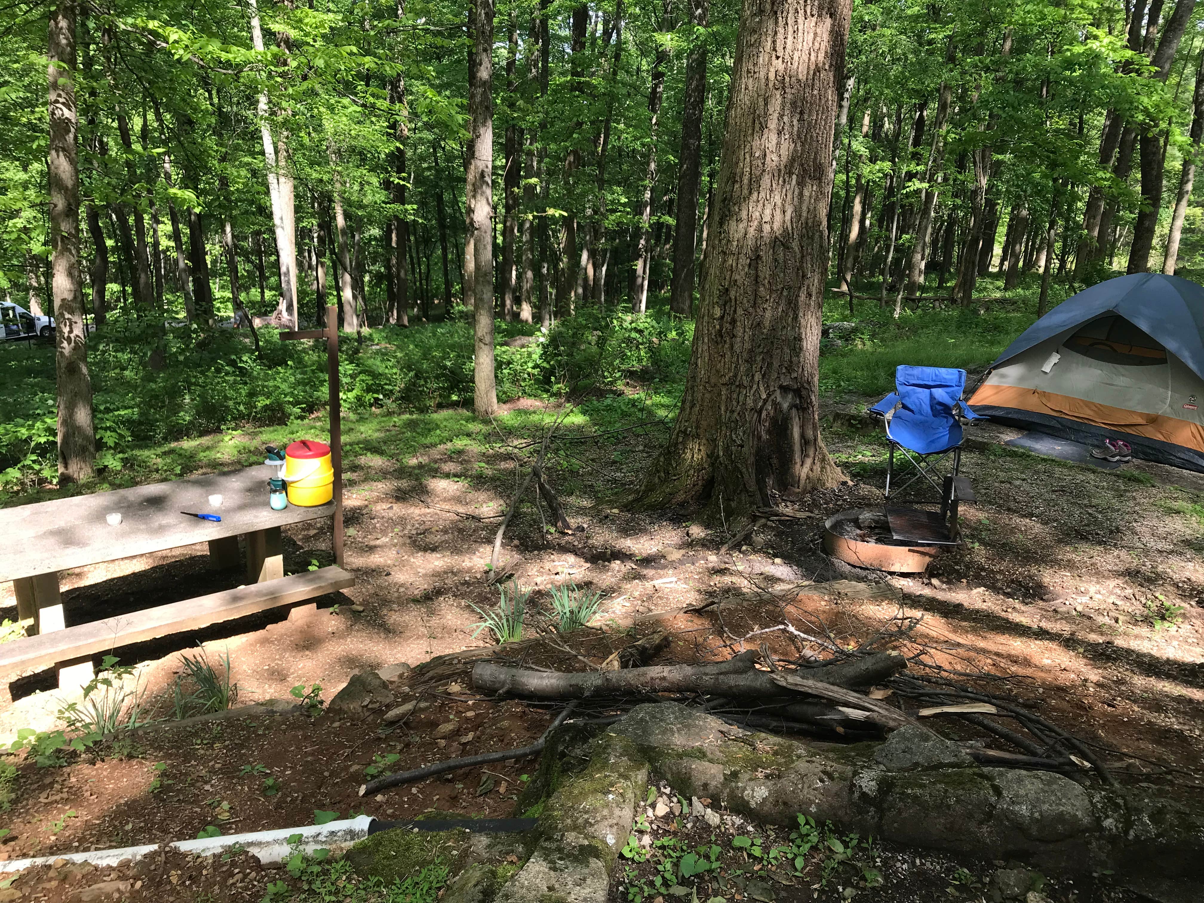 Stephanie M.'s photo at Peaks Of Otter Campground — Blue Ridge Parkway near Buchanan, VA