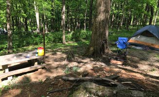 Stephanie M.'s photo at Peaks Of Otter Campground — Blue Ridge Parkway near Cedar Bluff, VA