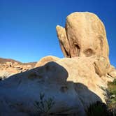 Review photo of White Tank Campground — Joshua Tree National Park by rokett F., January 16, 2020