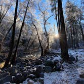 Review photo of Manzanita Campground by Kristen , January 16, 2020